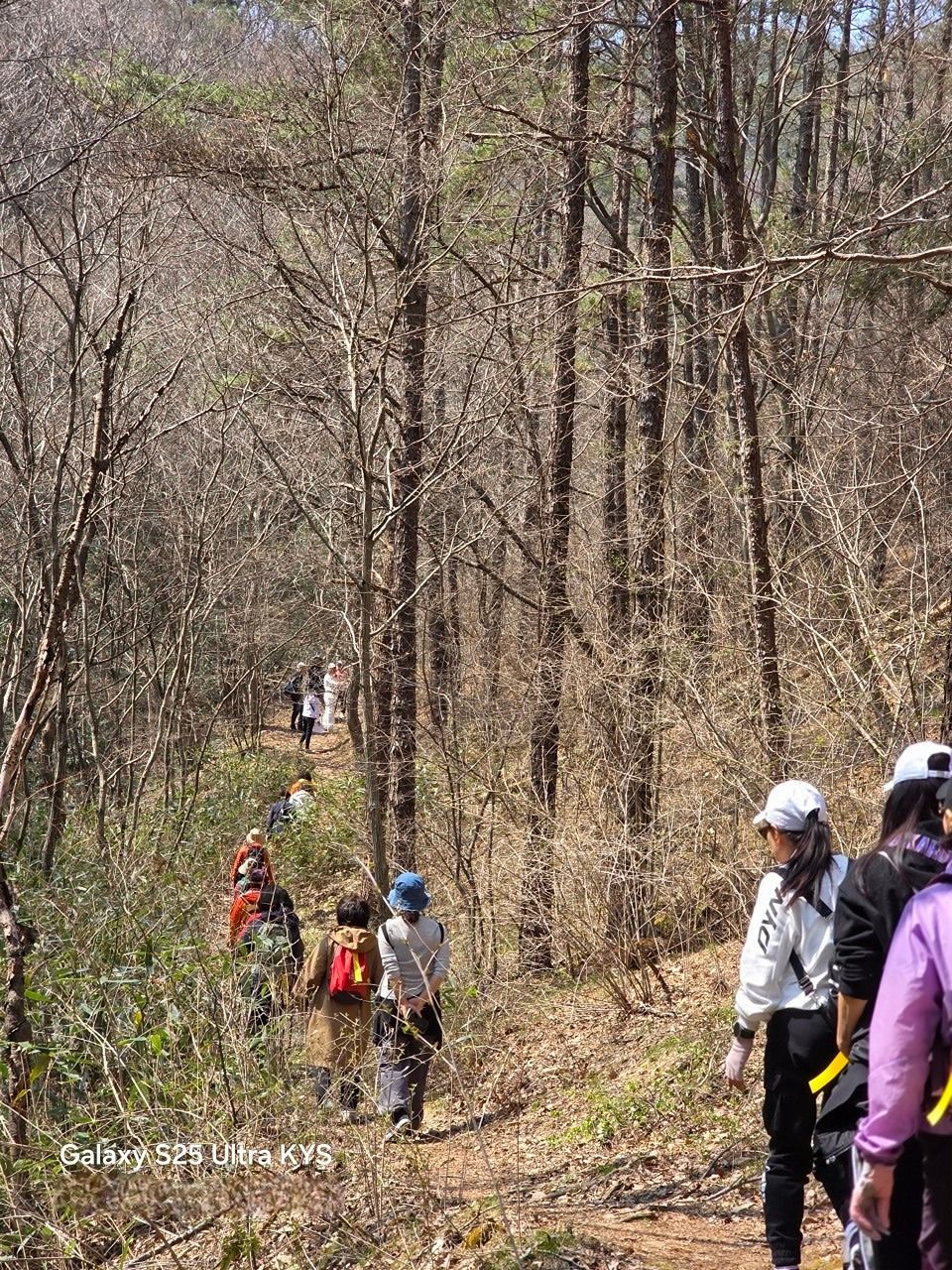 평택��자연산악회