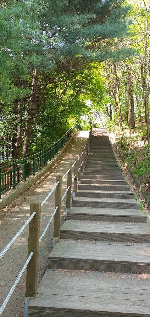 봉서산 힐링 트레킹(나무그늘길)/점심/티