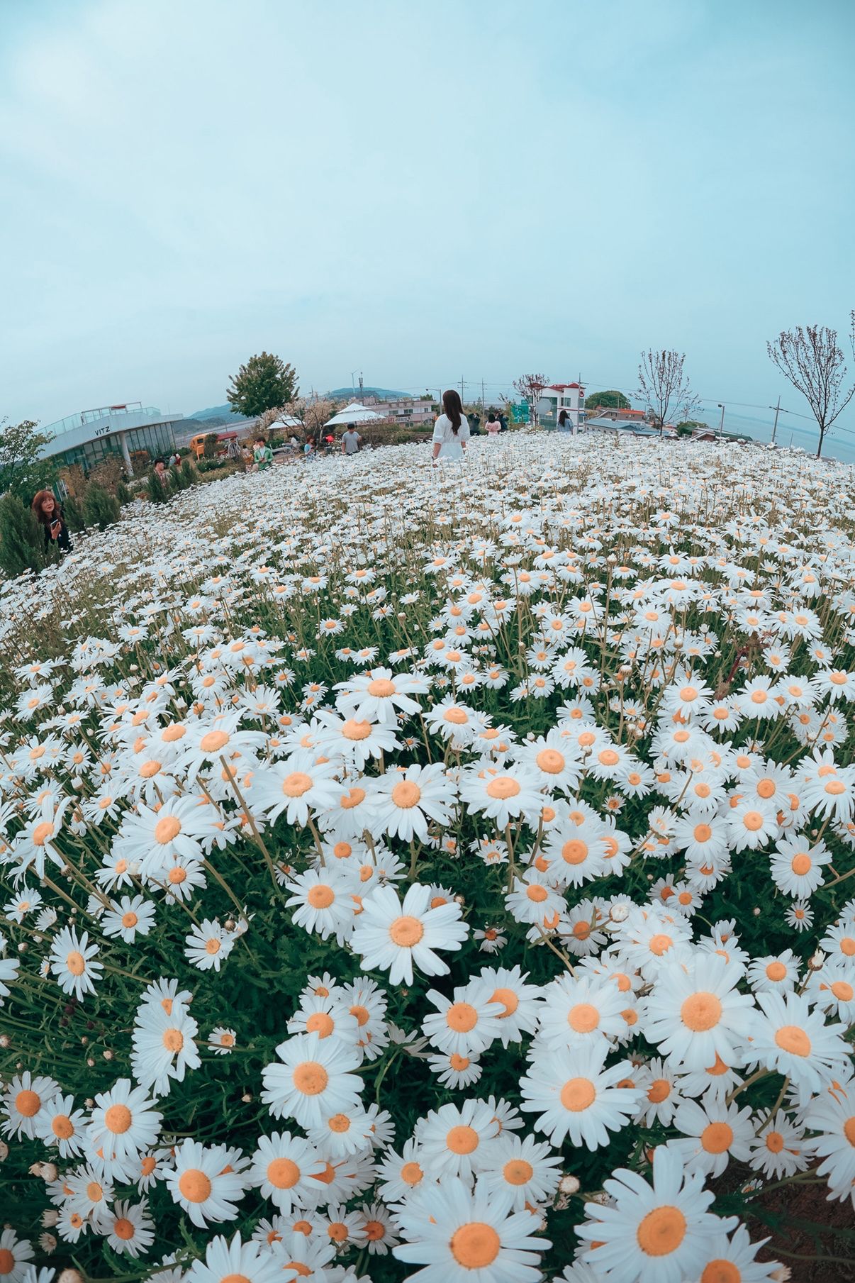 사진동호회 앨범 사진