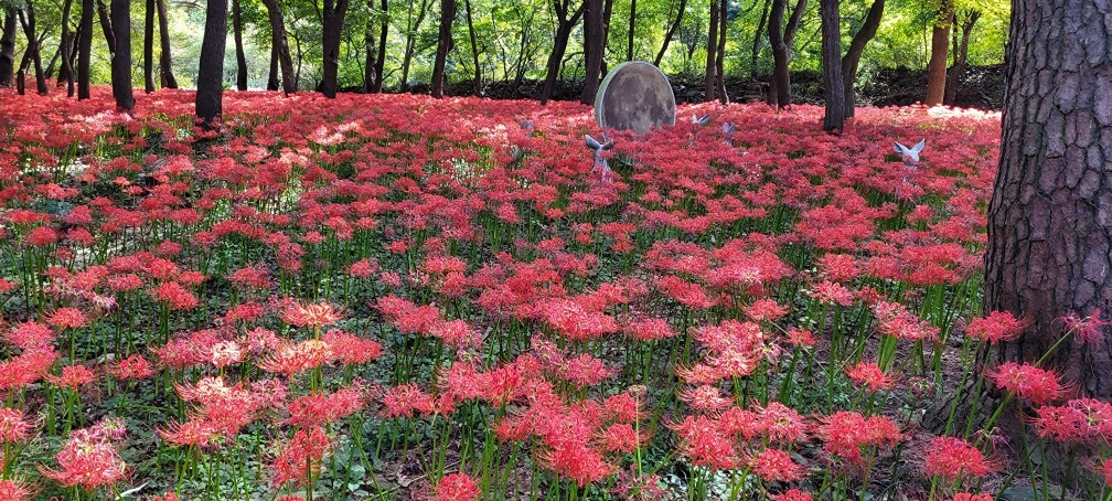 5060 여기로 오세요