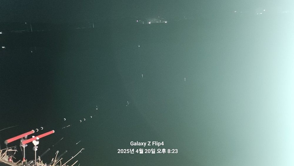 민물낚시 앨범 사진