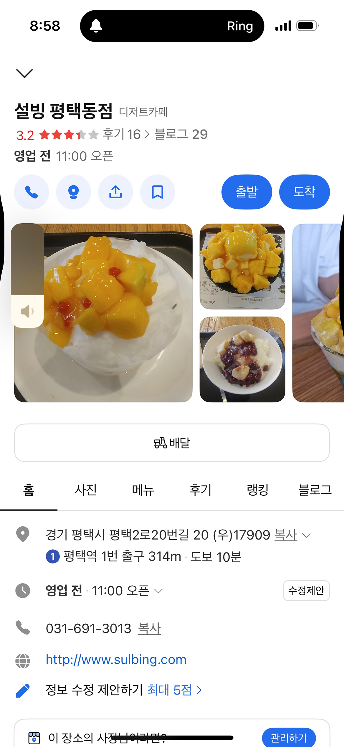 팥빙수 번개