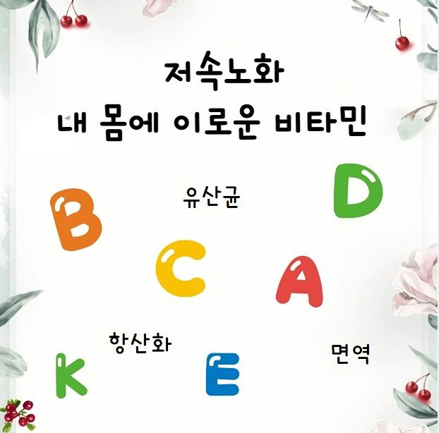 비타민 스터디