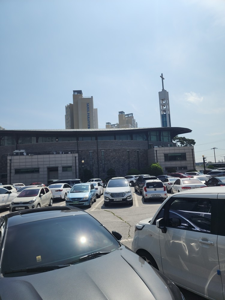 온양제일교회에 있는 아기고양입니다