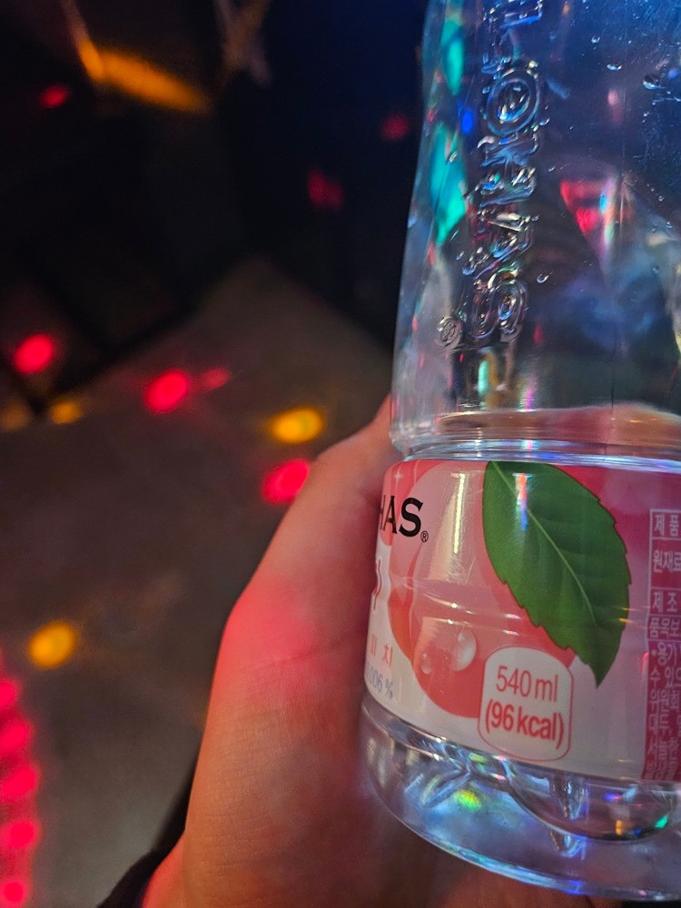 복숭아 물 24g (96kcal)

점심겸 저녁 (배터리 이슈로 촬영 못함)
곰탕 0g (약 650kcal)

24g (746kcal)