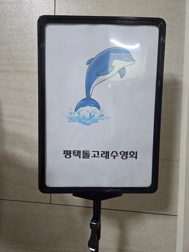 평택 돌고래 수영동호회 !!!  앨범 사진