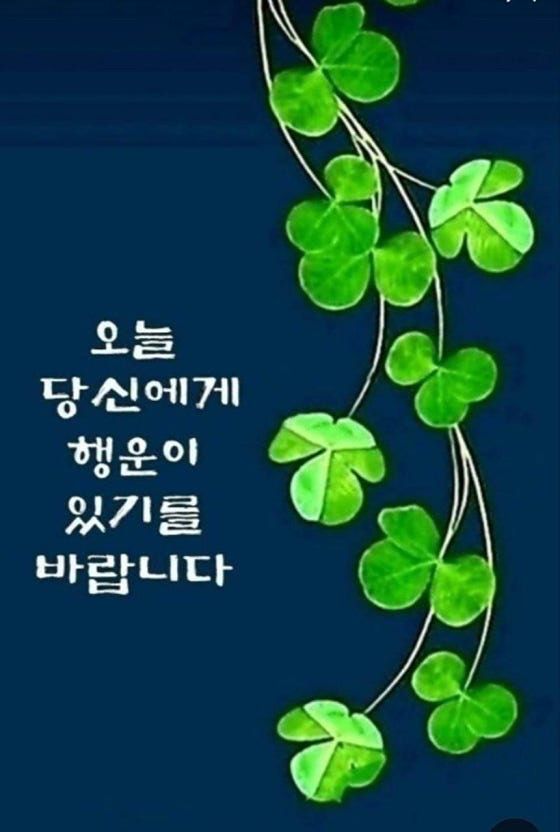 명품 5060방 앨범 사진