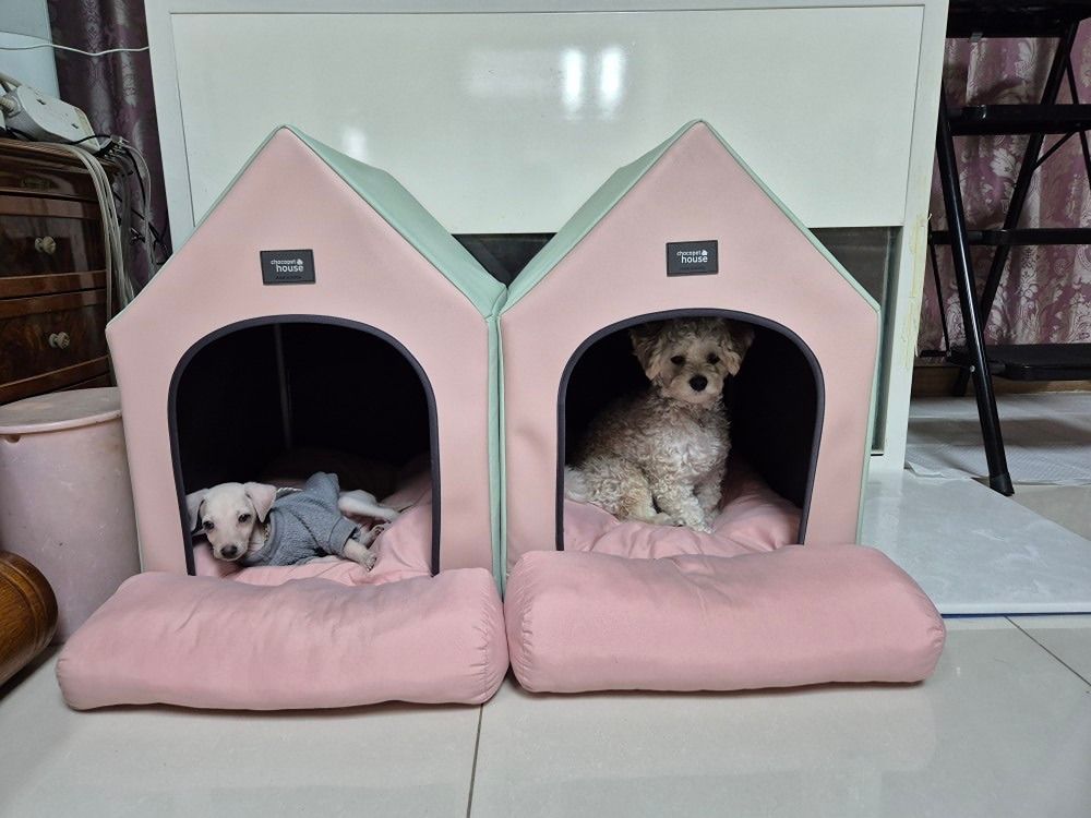 반사모 앨범 사진