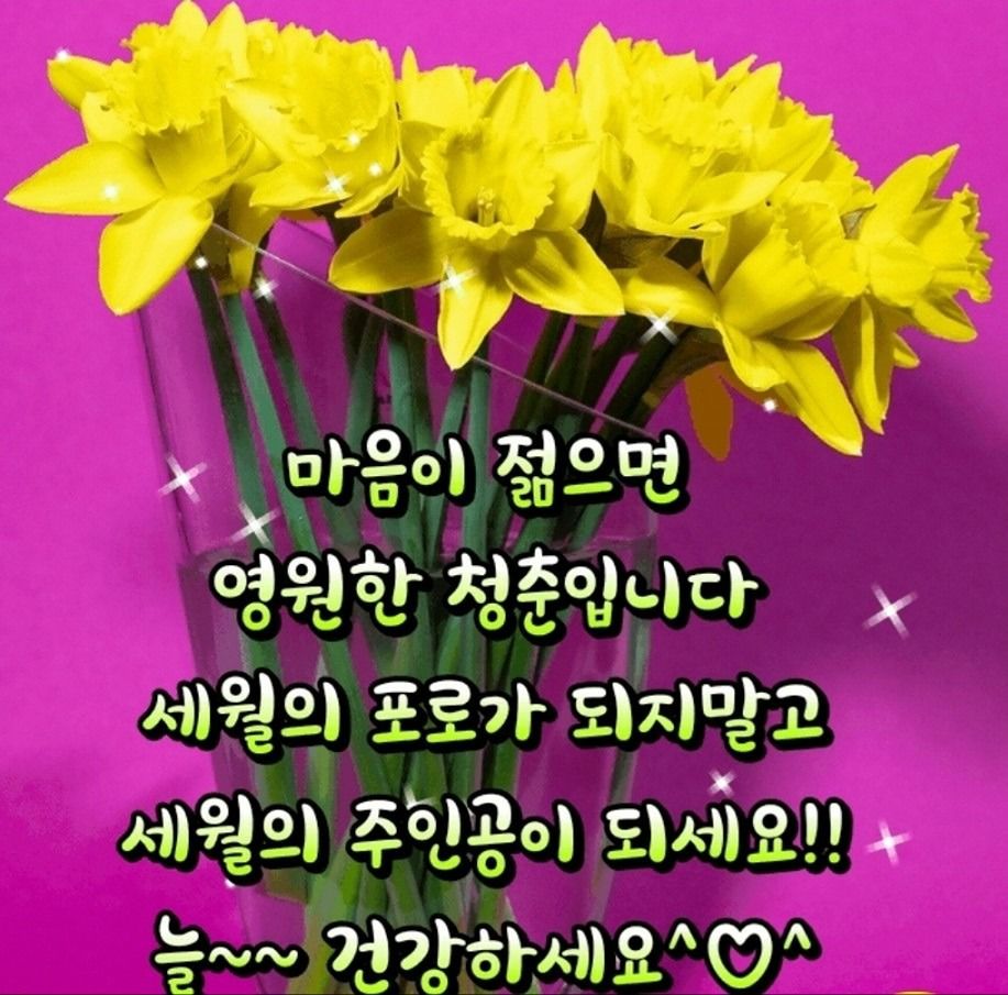 🎁신탄 같이걸어요😀 앨범 사진