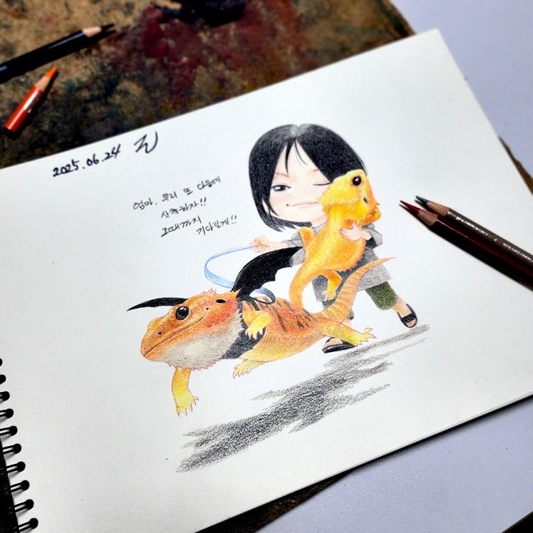 힐링 낙서 앨범 사진