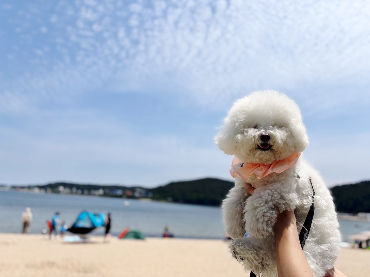 광안리산책