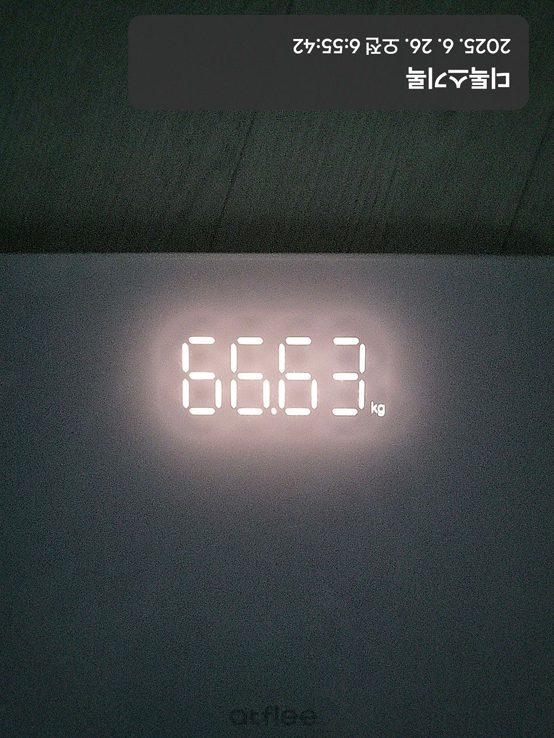 인생마지막다이어트-10kg 앨범 사진