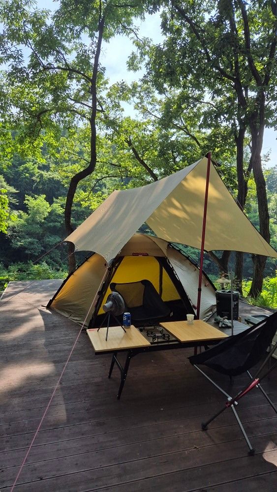 캠린이🌲 앨범 사진