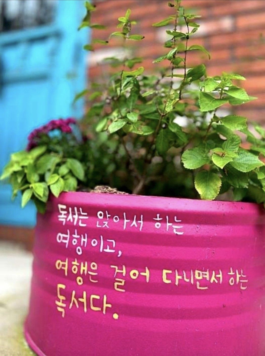 일산ㆍ고양시 독서 모임(읽고,걷고, 쓰고)