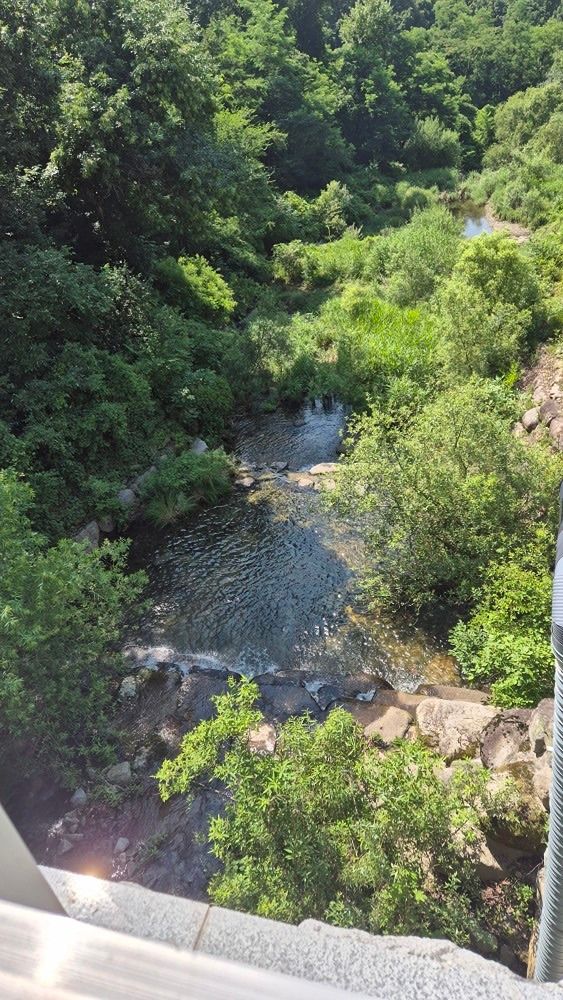 캠린이🌲 앨범 사진
