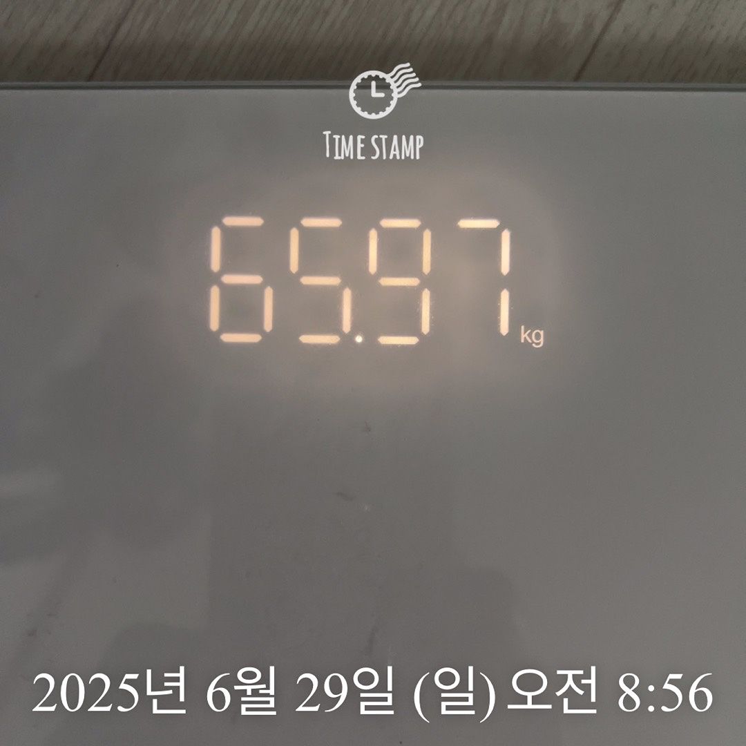 인생마지막다이어트-10kg 앨범 사진