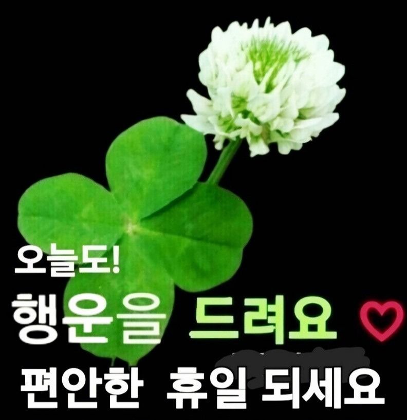내면의 쉼터 앨범 사진
