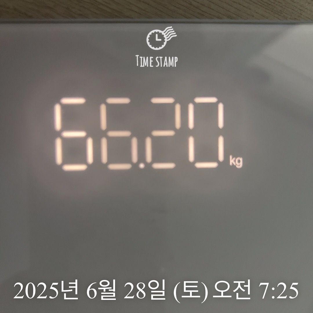 인생마지막다이어트-10kg 앨범 사진