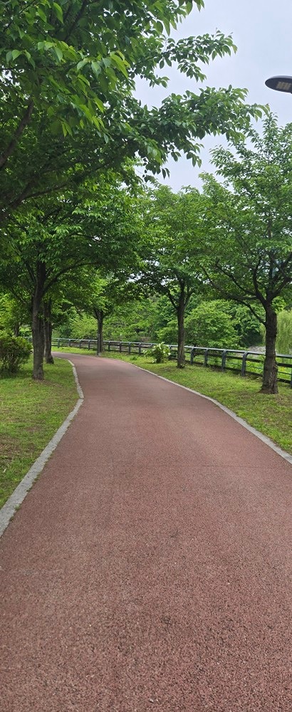 신동 카페거리 걷기