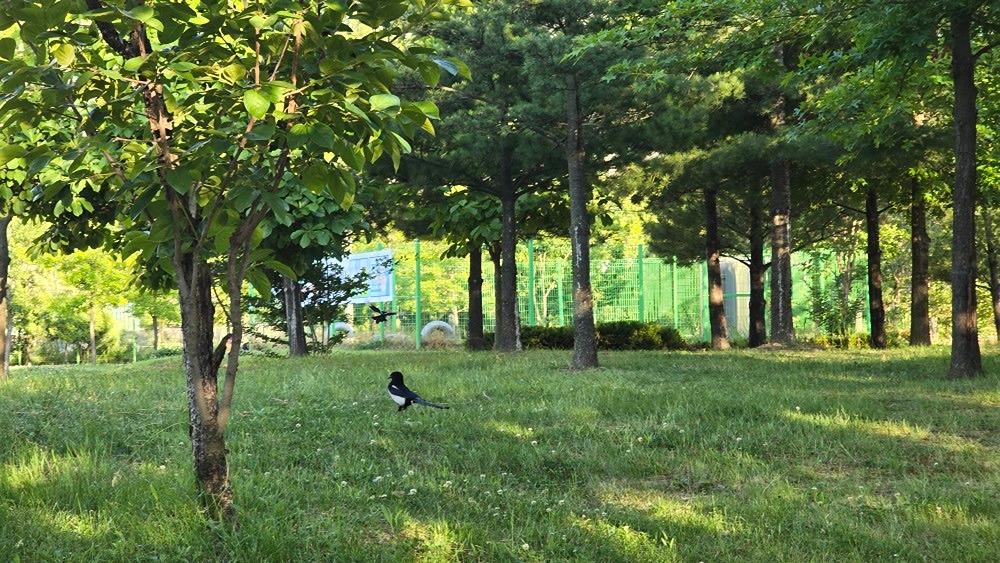 오늘 엄청 더웠는데요~  
잘 보내셨지요?^^