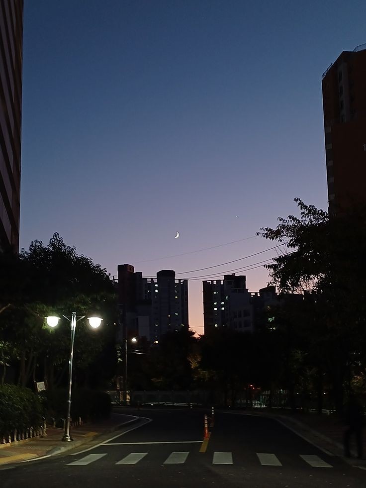 밤산책은 괜찮지?~?