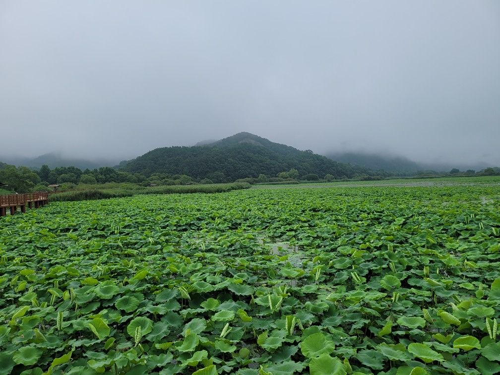 경상도향우회 앨범 사진