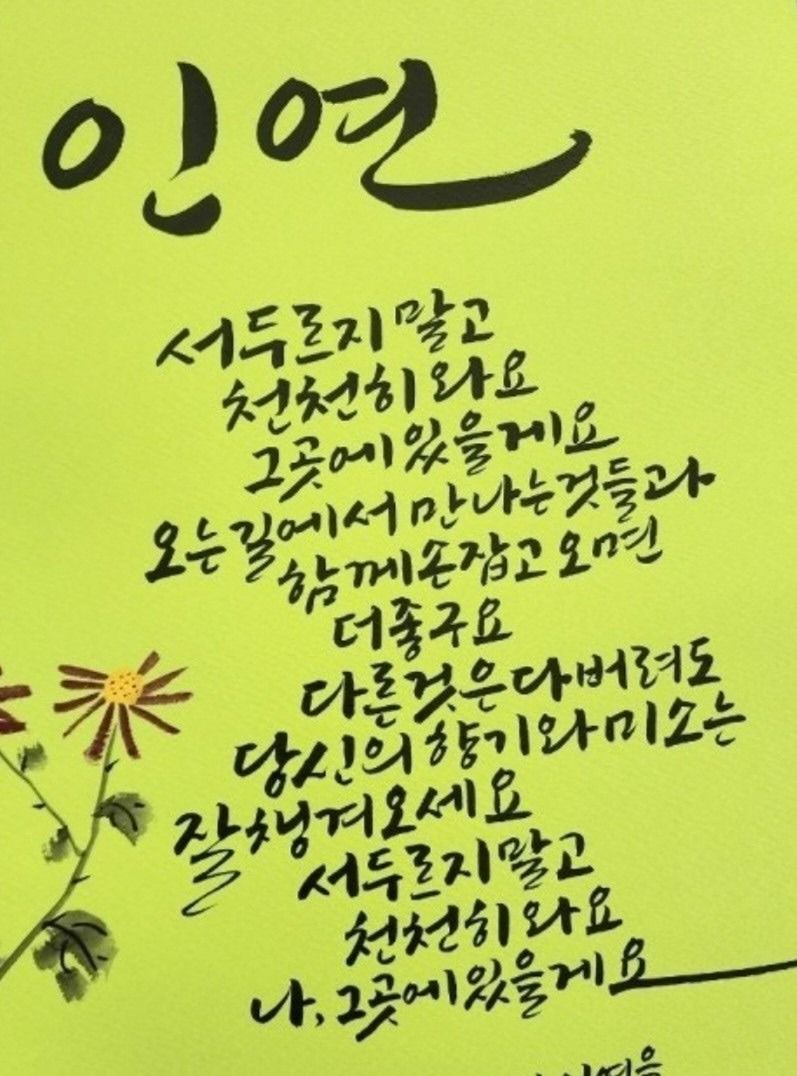 🍀인연5060모임방 앨범 사진