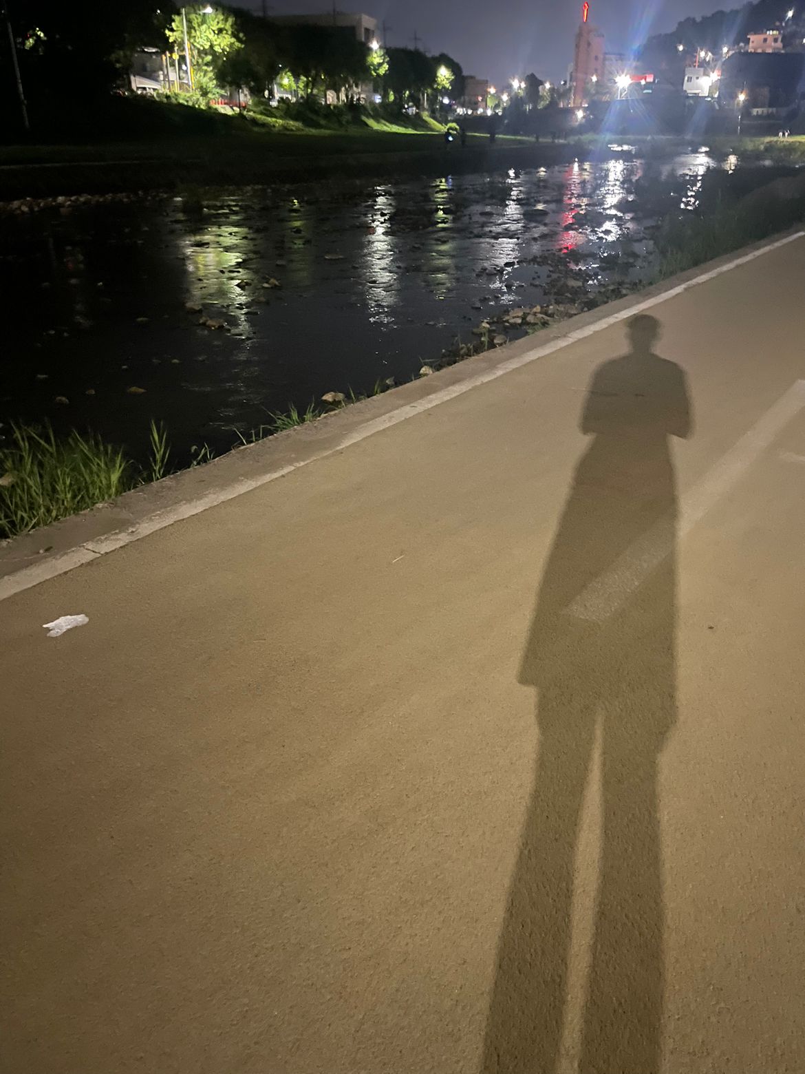 하루 다이어트 일기 앨범 사진
