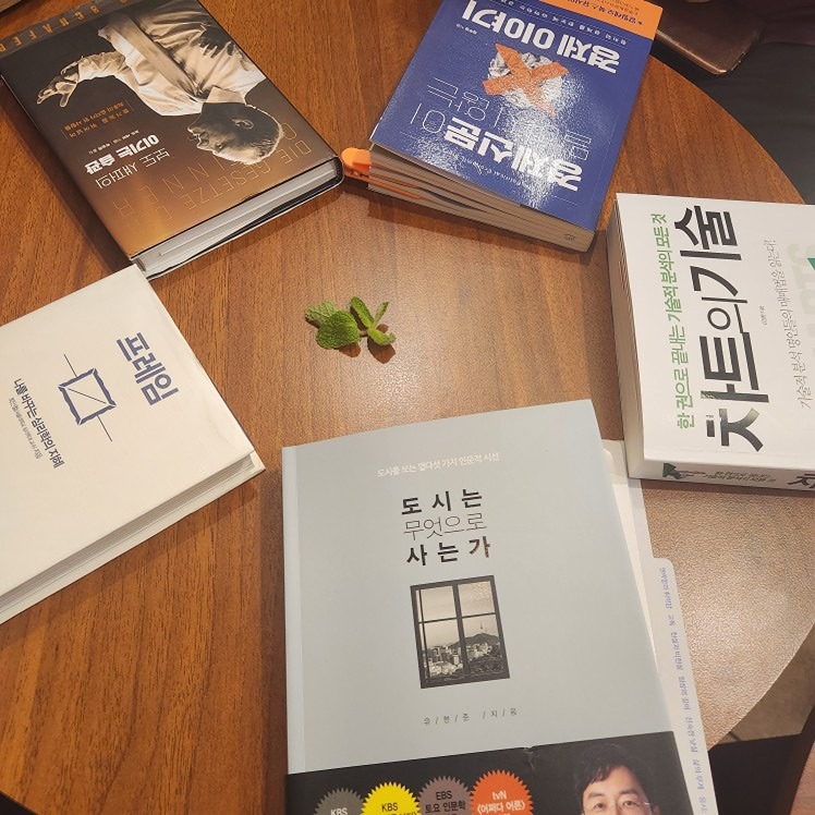 정기틈독