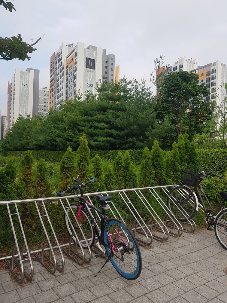 전팀장 형님과 만나 푸른수목원 만나 걸었네요.
형님께서 사가지고 온 꼬마김밥 & 커피 맛있게 먹었습니다.
전팀장 형님. 지방 출장 마치고 댁에 오시면 연락주세요.
집도 가까우니 자주 뵈어요 ^^.