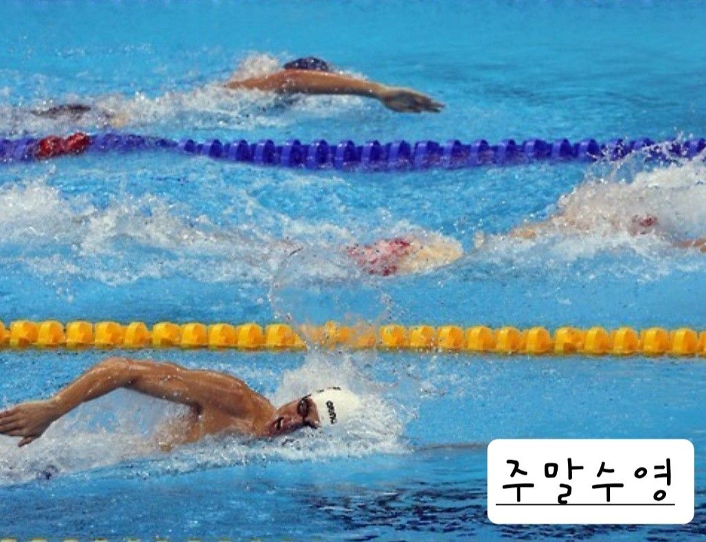 🏊‍♂️주말수영 함수해요^^