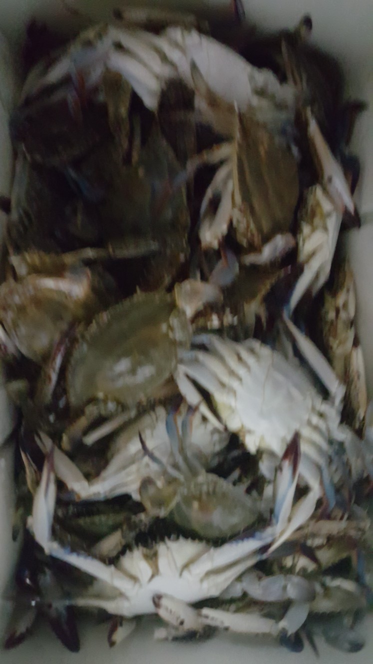 Post image 5