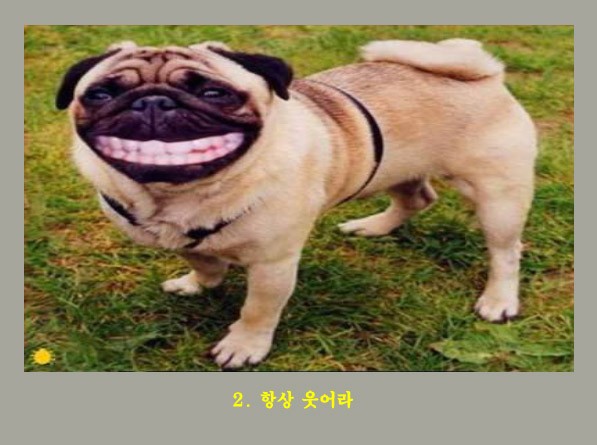 자유롭게~^^*