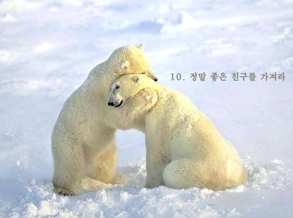 Post image 12