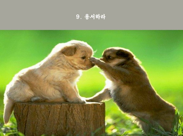 Post image 11
