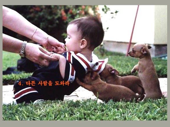 Post image 6