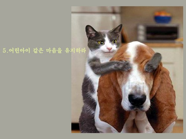 Post image 7