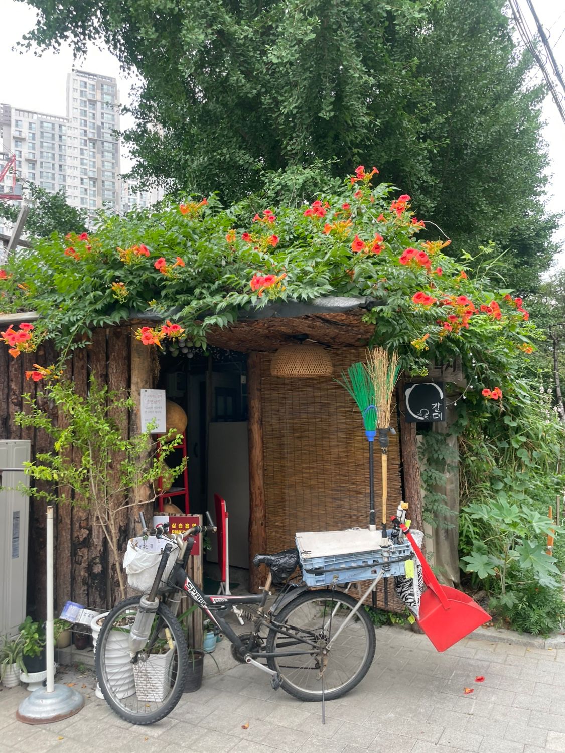밥바바바밥 앨범 사진
