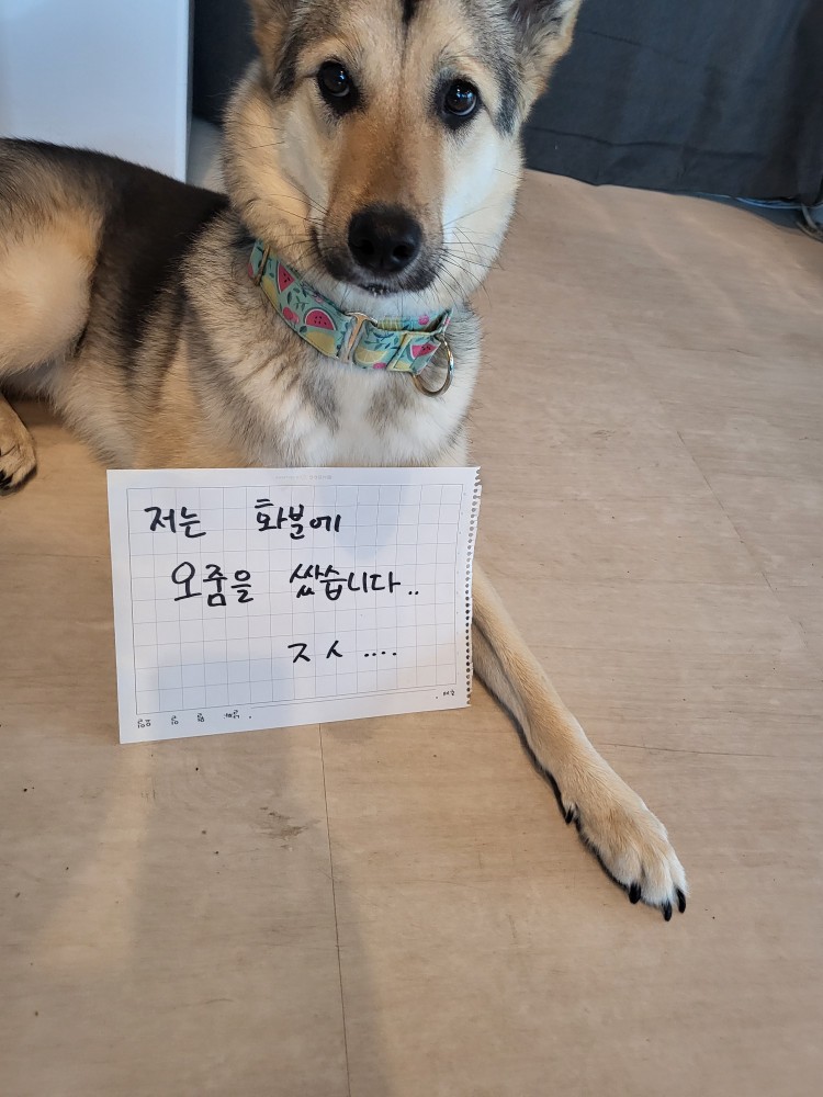 혼내주세요...