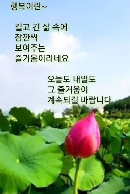 내면의 쉼터 앨범 사진