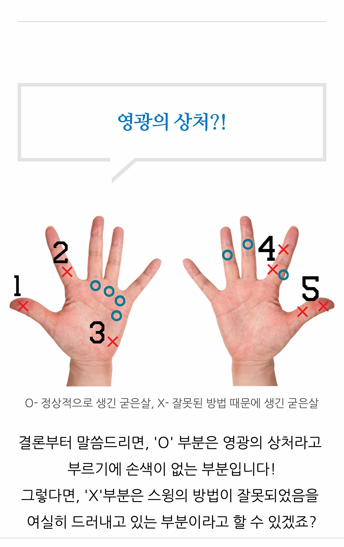 여름엔 스크린이지