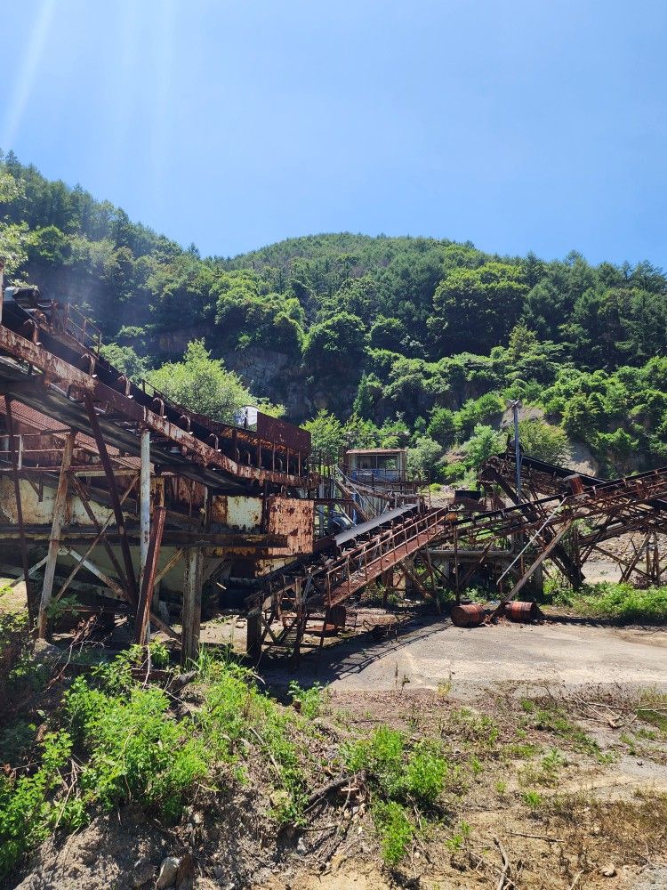✨��️지금 핫플 (공유, 체험) 앨범 사진