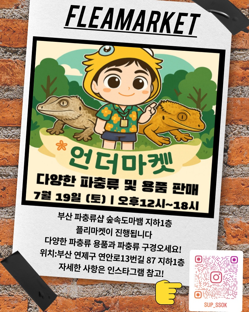 파충류샵 숲속도마뱀 picture 0