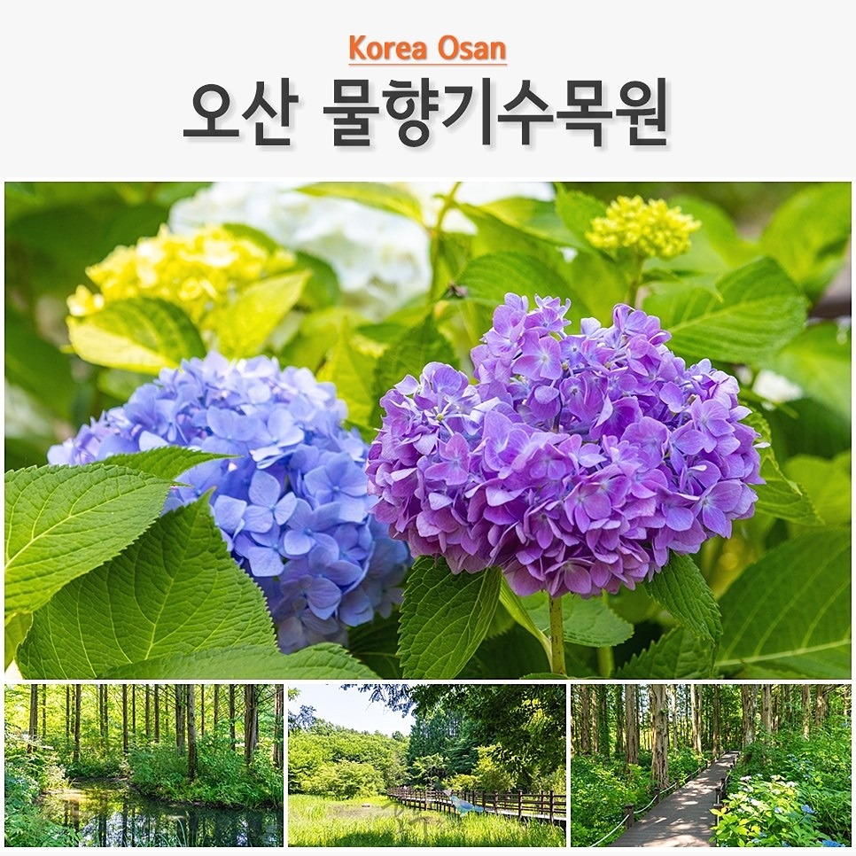 오산 물향기수목원 가볼까요??