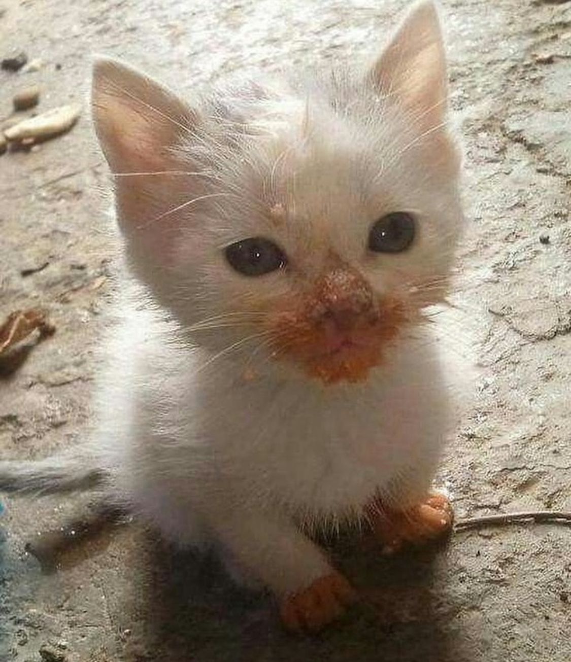 💛앱테크 모임💛 (토스, 케이뱅크, 틱톡