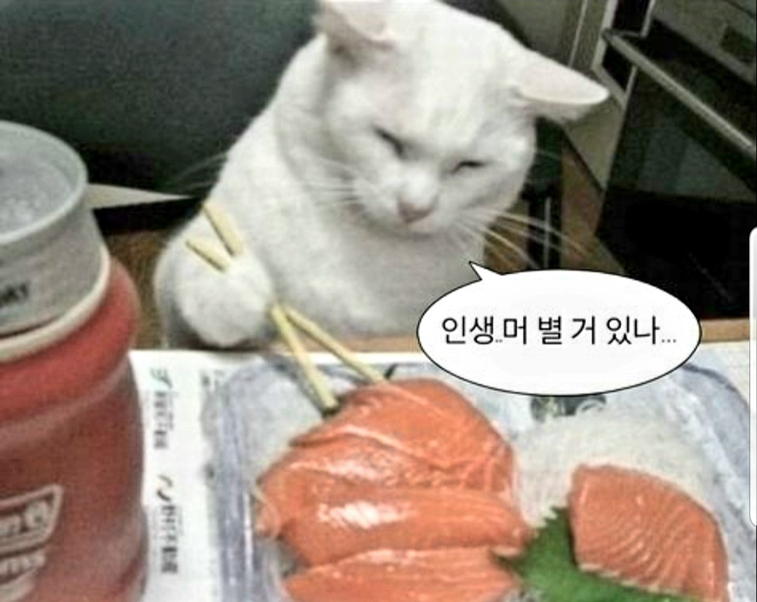 인생 날로 먹고 싶다..  날�것 얘기하니 회도 먹고싶다..
횟집 가고싶은데 같이 갈 사람이 없네.. 저희 모임오셔서
자유롭게 약속잡고 같이 밥먹으러 가요