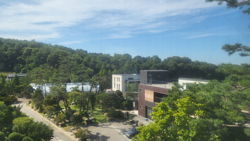 안성 펜션 놀러왔습니다!