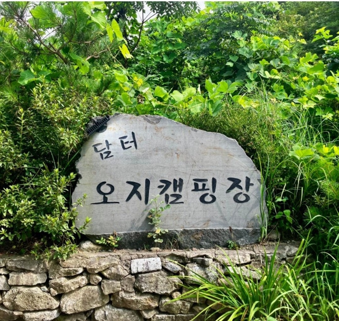 🏖🍉어마무시한 계곡으로 피크닉가요💦