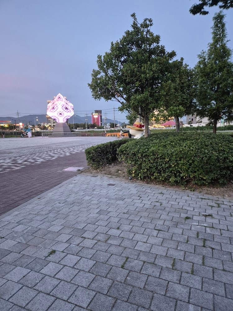 당근공식러닝크루 명지국제크루