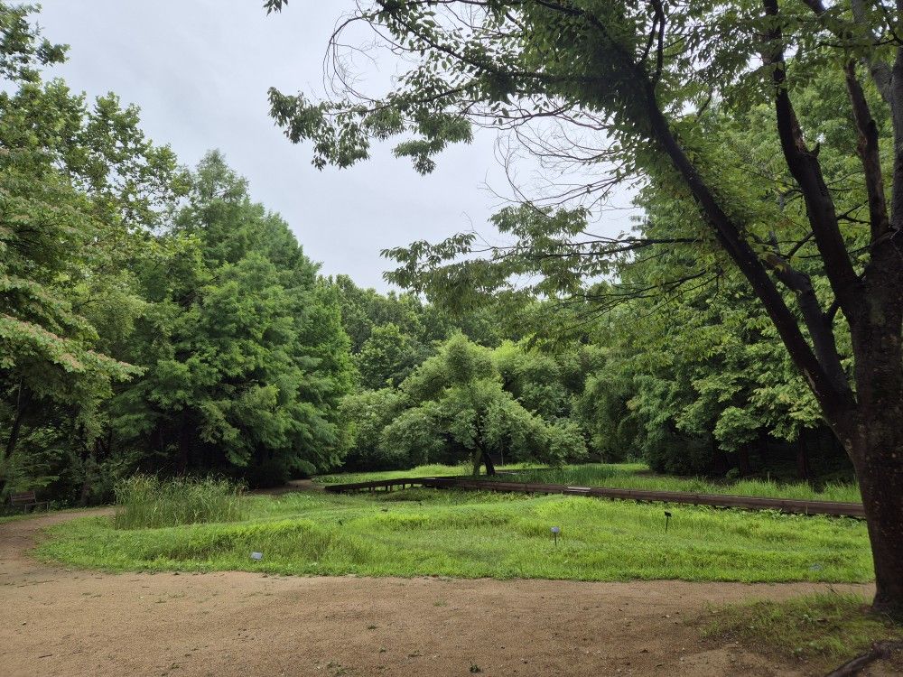 산과함께(40~50대 여자회원만) 앨범 사진